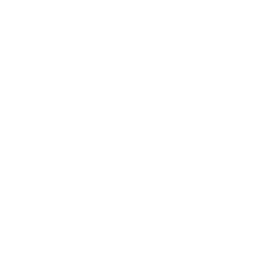 LOGO-VENETO-SITE